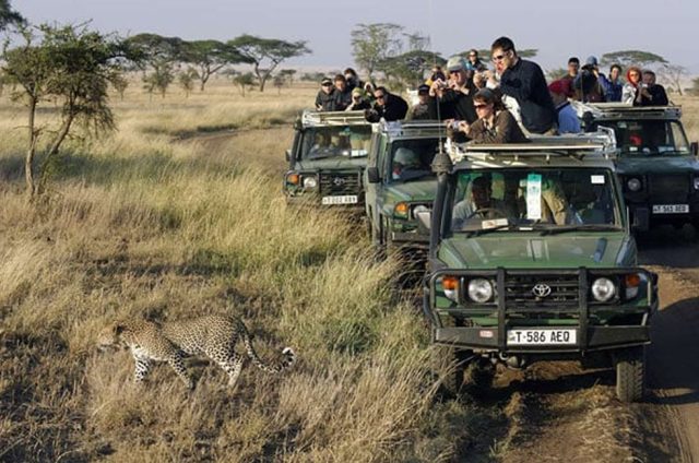 East Africa Safari