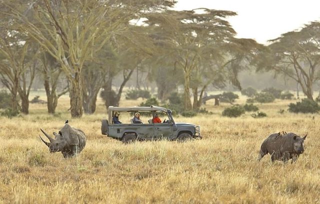 East Africa Safari